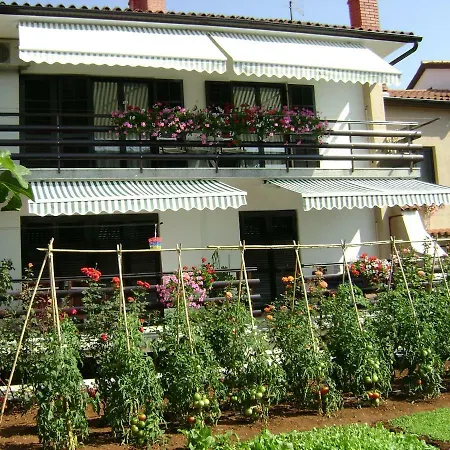 Dany Apartament *